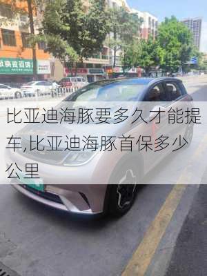 比亚迪海豚要多久才能提车,比亚迪海豚首保多少公里