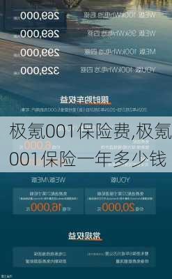 极氪001保险费,极氪001保险一年多少钱