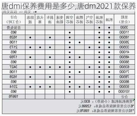 唐dmi保养费用是多少,唐dm2021款保养