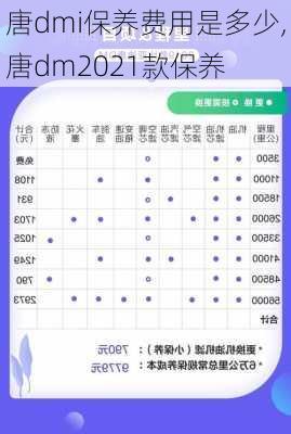 唐dmi保养费用是多少,唐dm2021款保养