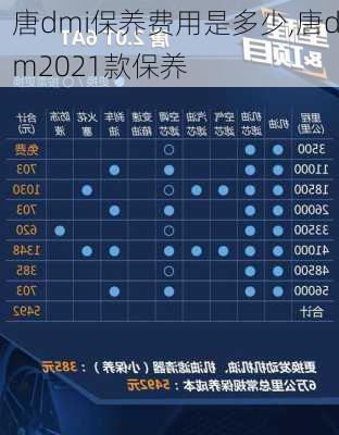 唐dmi保养费用是多少,唐dm2021款保养