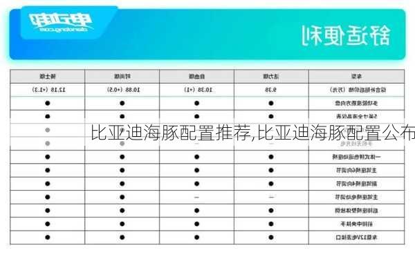 比亚迪海豚配置推荐,比亚迪海豚配置公布