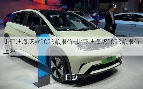 比亚迪海豚款2023款报价_比亚迪海豚2023款报价上海