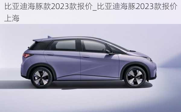 比亚迪海豚款2023款报价_比亚迪海豚2023款报价上海