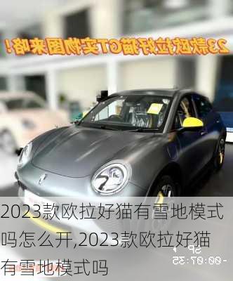 2023款欧拉好猫有雪地模式吗怎么开,2023款欧拉好猫有雪地模式吗