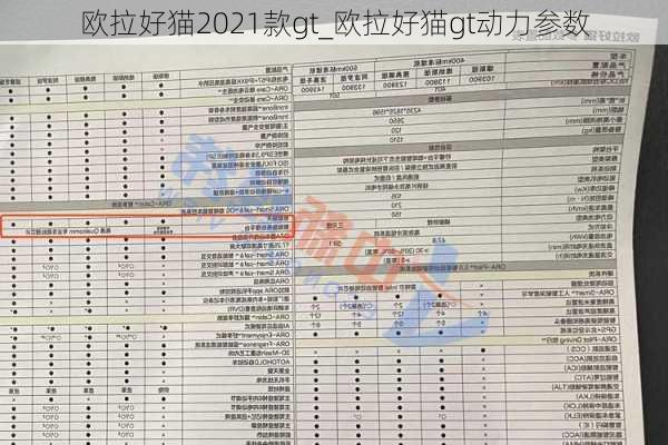 欧拉好猫2021款gt_欧拉好猫gt动力参数