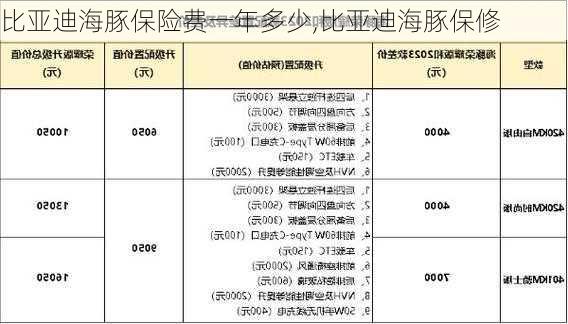 比亚迪海豚保险费一年多少,比亚迪海豚保修