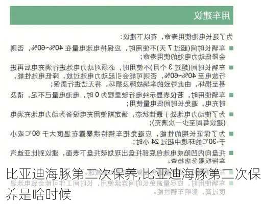 比亚迪海豚第二次保养,比亚迪海豚第二次保养是啥时候