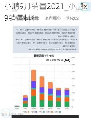 小鹏9月销量2021_小鹏x9销量排行