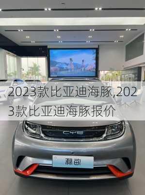 2023款比亚迪海豚,2023款比亚迪海豚报价