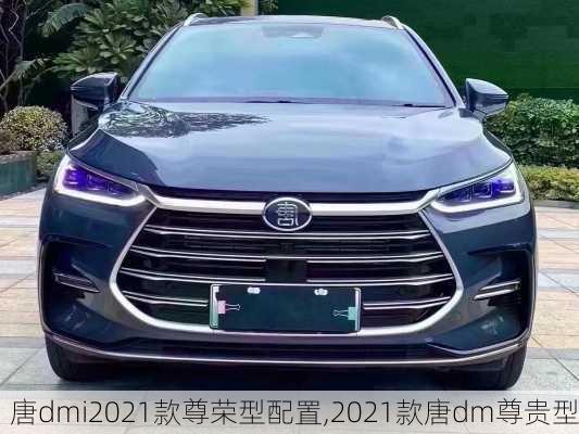 唐dmi2021款尊荣型配置,2021款唐dm尊贵型