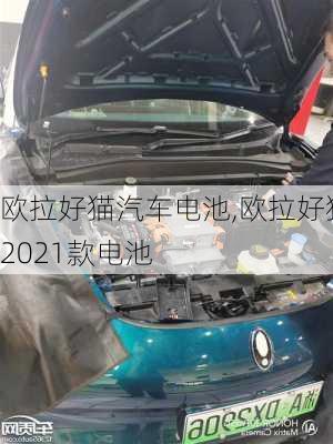 欧拉好猫汽车电池,欧拉好猫2021款电池