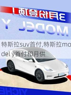 特斯拉suv首付,特斯拉model y首付和月供