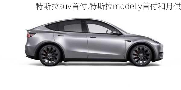 特斯拉suv首付,特斯拉model y首付和月供