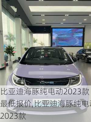 比亚迪海豚纯电动2023款最低报价,比亚迪海豚纯电动2023款