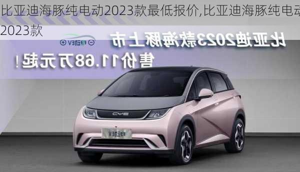 比亚迪海豚纯电动2023款最低报价,比亚迪海豚纯电动2023款