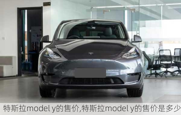 特斯拉model y的售价,特斯拉model y的售价是多少