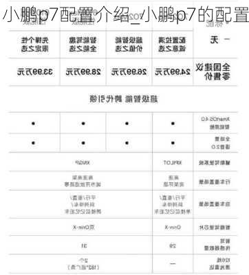 小鹏p7配置介绍_小鹏p7的配置