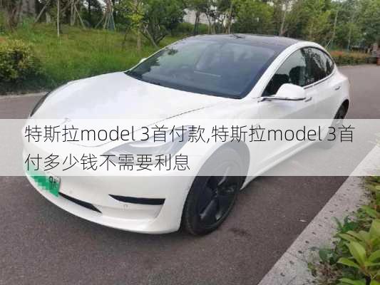 特斯拉model 3首付款,特斯拉model 3首付多少钱不需要利息