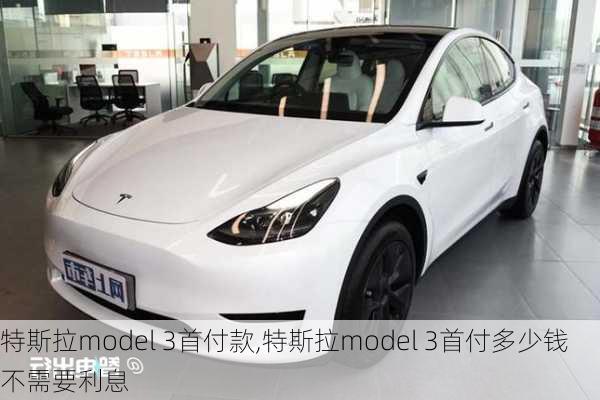 特斯拉model 3首付款,特斯拉model 3首付多少钱不需要利息