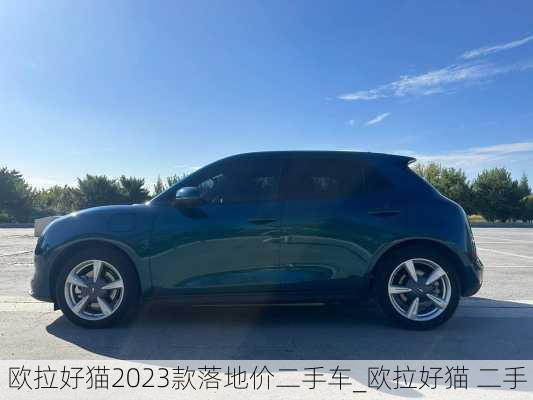 欧拉好猫2023款落地价二手车_欧拉好猫 二手