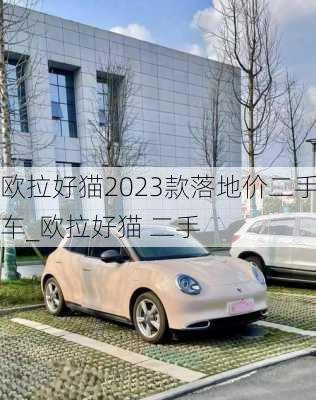 欧拉好猫2023款落地价二手车_欧拉好猫 二手