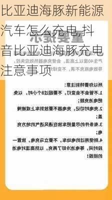 比亚迪海豚新能源汽车怎么充电,抖音比亚迪海豚充电注意事项