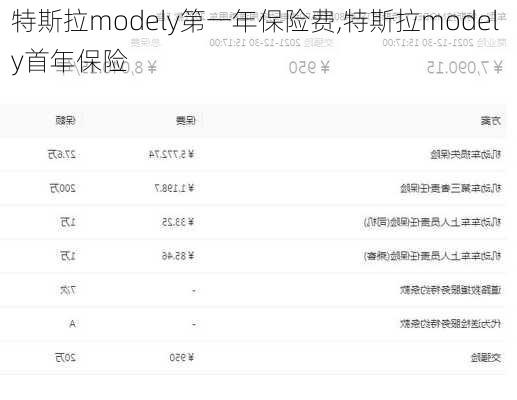 特斯拉modely第一年保险费,特斯拉model y首年保险