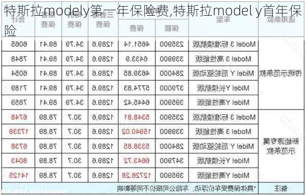 特斯拉modely第一年保险费,特斯拉model y首年保险