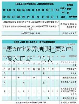 唐dmi保养周期_秦dmi保养周期一览表