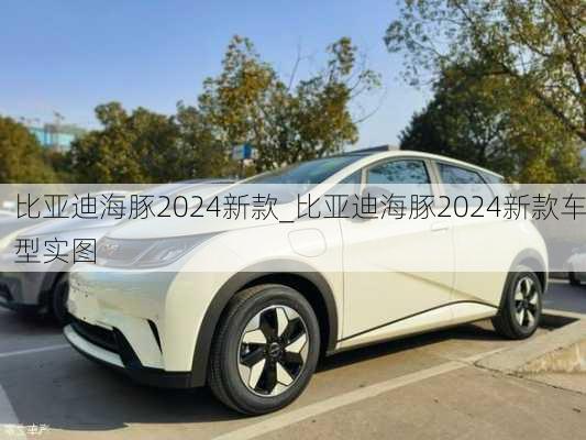 比亚迪海豚2024新款_比亚迪海豚2024新款车型实图