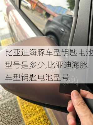 比亚迪海豚车型钥匙电池型号是多少,比亚迪海豚车型钥匙电池型号