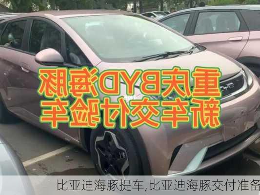 比亚迪海豚提车,比亚迪海豚交付准备