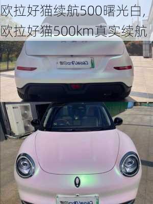 欧拉好猫续航500曙光白,欧拉好猫500km真实续航