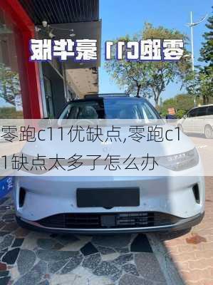 零跑c11优缺点,零跑c11缺点太多了怎么办