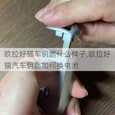 欧拉好猫车钥匙什么样子,欧拉好猫汽车钥匙如何换电池