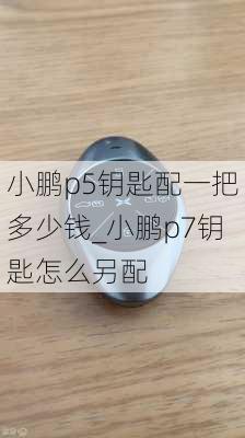 小鹏p5钥匙配一把多少钱_小鹏p7钥匙怎么另配