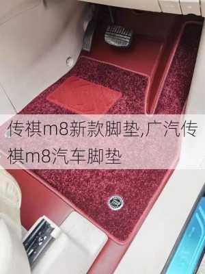 传祺m8新款脚垫,广汽传祺m8汽车脚垫