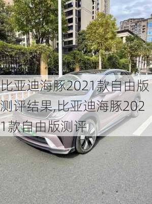 比亚迪海豚2021款自由版测评结果,比亚迪海豚2021款自由版测评