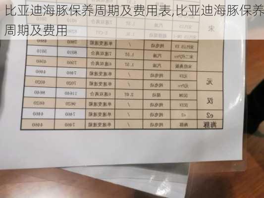 比亚迪海豚保养周期及费用表,比亚迪海豚保养周期及费用