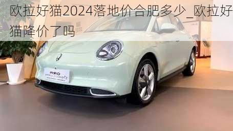 欧拉好猫2024落地价合肥多少_欧拉好猫降价了吗