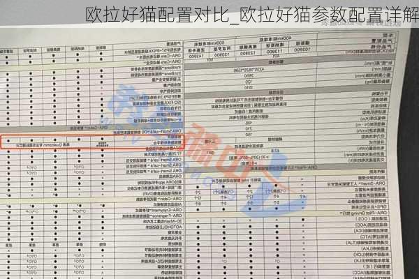 欧拉好猫配置对比_欧拉好猫参数配置详解