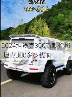 2024坦途克300新款价格,坦克300多少钱啊