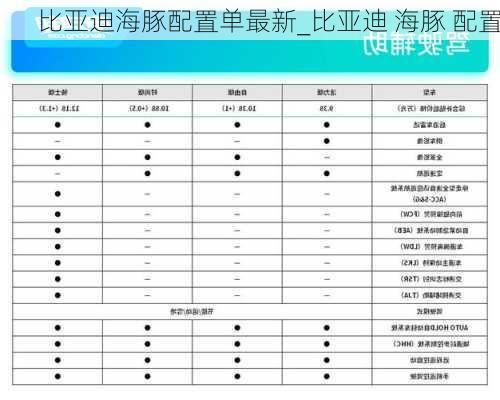 比亚迪海豚配置单最新_比亚迪 海豚 配置