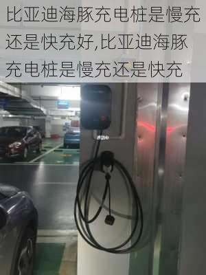 比亚迪海豚充电桩是慢充还是快充好,比亚迪海豚充电桩是慢充还是快充