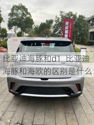 比亚迪海豚和d1_比亚迪海豚和海欧的区别是什么