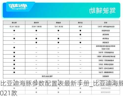 比亚迪海豚参数配置表最新手册_比亚迪海豚2021款