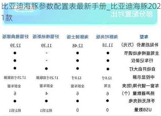 比亚迪海豚参数配置表最新手册_比亚迪海豚2021款