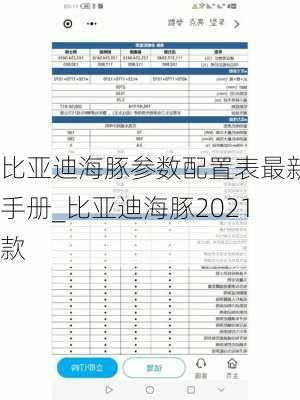 比亚迪海豚参数配置表最新手册_比亚迪海豚2021款