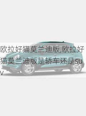 欧拉好猫莫兰迪版,欧拉好猫莫兰迪版是轿车还是suv